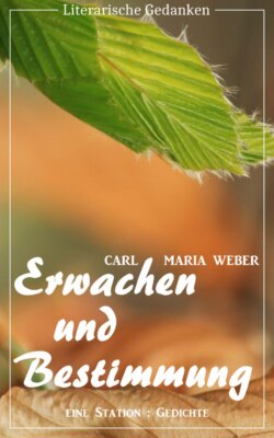 Erwachen und Bestimmung (Carl Maria Weber) (Literarische Gedanken Edition)