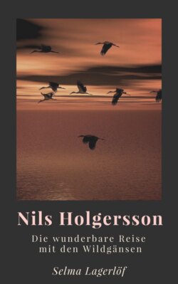 Nils Holgersson