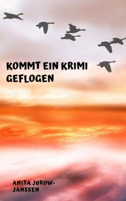 Kommt ein Krimi geflogen