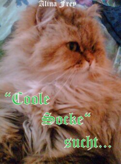 "Coole Socke" sucht...