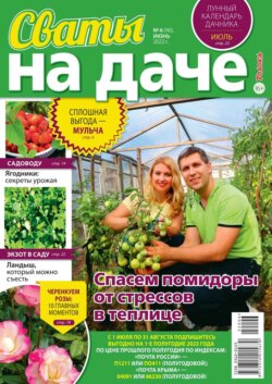 Сваты на Даче 06-2022