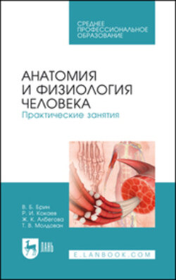 Анатомия и физиология человека. Практические занятия