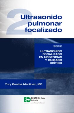 Ultrasonido pulmonar focalizado