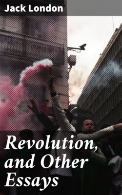 Revolution, and Other Essays