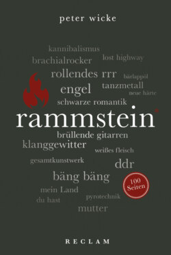 Rammstein. 100 Seiten