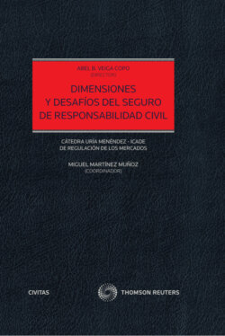 Dimensiones y desafíos  del seguro de responsabilidad civil