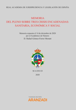 Memoria del pleno sobre tres crisis encadenadas: sanitaria, económica y social