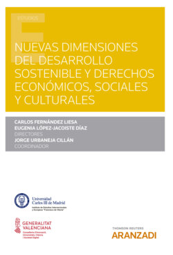 Nuevas dimensiones del Desarrollo sostenible y Derechos económicos, sociales y culturales