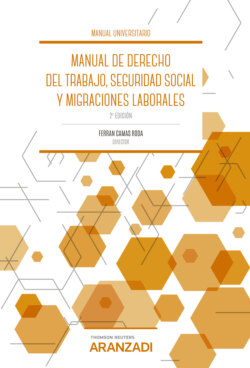 Manual de Derecho del Trabajo, Seguridad Social y  Migraciones laborales