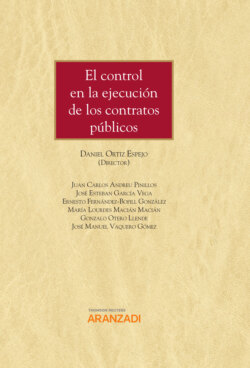 El control en la ejecución de los contratos públicos