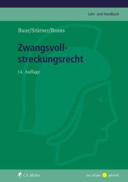 Zwangsvollstreckungsrecht, eBook