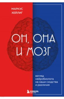 Он, она и мозг. Как пол определяет наше мышление