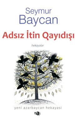 Adsız itin qayıdışı