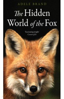 The Hidden World of the Fox