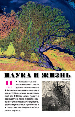 Наука и жизнь №11/2022