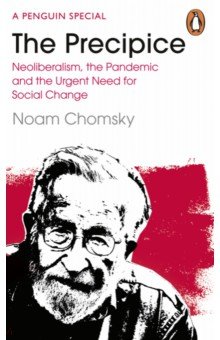 The Precipice. Neoliberalism, the Pandemic and the Urgent Need for Social Change