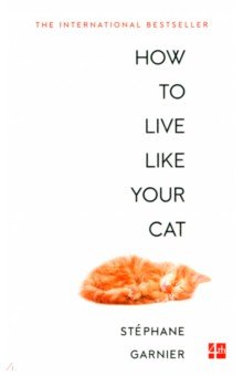 How to Live Like Your Cat