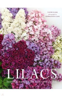 Lilacs. Beautiful varieties for home and garden