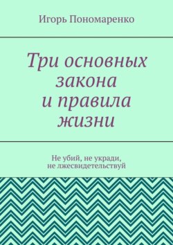 Три основных закона и правила жизни. Не убий, не укради, не лжесвидетельствуй