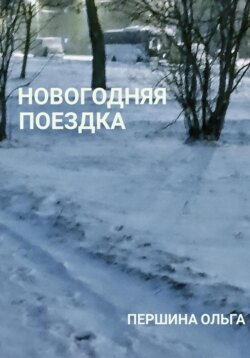 Новогодняя поездка