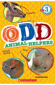 Odd Animal Helpers. Level 3