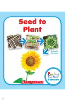 Seed to Plant