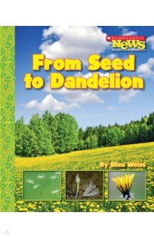 From Seed to Dandelion