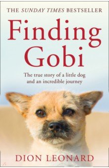 Finding Gobi. The True Story of a Little Dog and an Incredible Journey