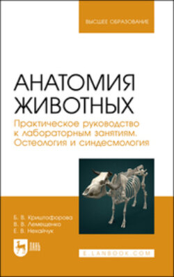 Анатомия животных. Практическое руководство к лабораторным занятиям. Остеология и синдесмология