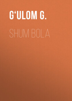 Shum bola