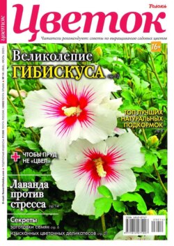 Цветок 14-2023