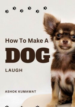 How To Make A Dog Laugh