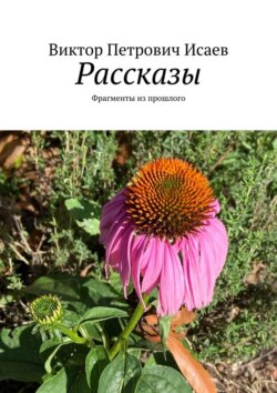 Рассказы. Фрагменты из прошлого