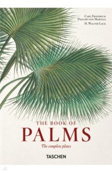 The Book of Palms