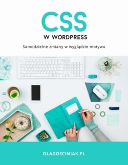 CSS w Wordpress. Samodzielne zmiany w wyglądzie motywu