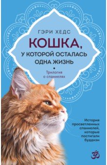 Кошка, у которой осталась одна жизнь