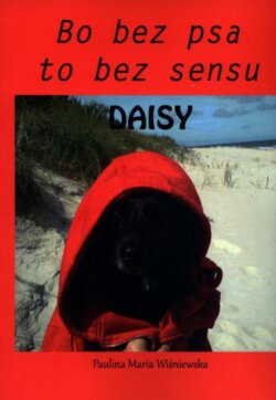 Daisy