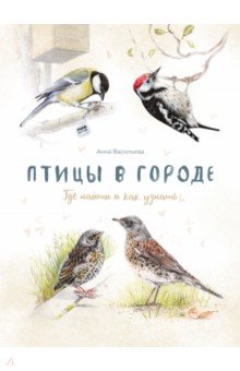 Птицы в городе. Где найти и как узнать