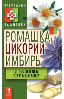 Ромашка, цикорий, имбирь в помощь организму