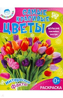 Самые красивые цветы.  Раскраска + большие наклейки внутри