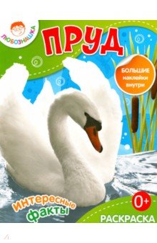 Пруд