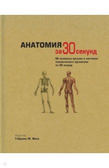 Анатомия