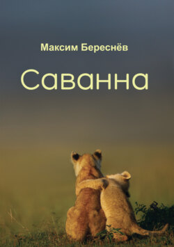 Саванна