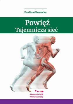 Powięź – tajemnicza sieć