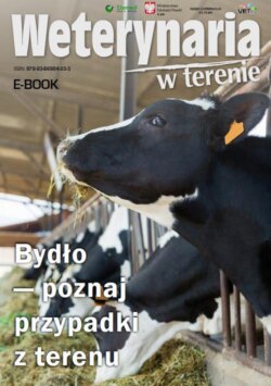 Bydło - poznaj przypadki z terenu