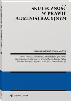 Skuteczność w prawie administracyjnym