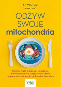 Odżyw swoje mitochondria