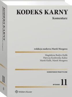 Kodeks karny. Komentarz