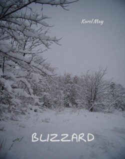 Blizzard