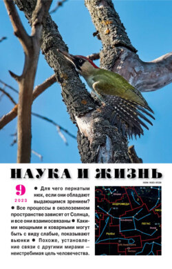 Наука и жизнь №09/2023